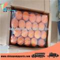 concrete pumps cleaning sponge ball for cleaning concrete pump pipe